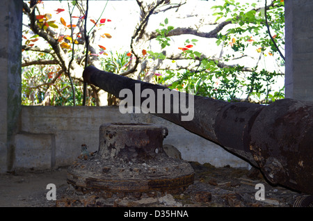 Abandoned cannon from the Pacific War in a tunnel inside Mt. Kofuji,  Minamizaki, Hahajima, Ogasawara Islands, Tokyo, Japan Stock Photo