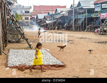 Young girl plays near drying fish in Kompong Pluk (Phluk), a group of three stilt house villages  near Siem Reap, Cambodia Stock Photo