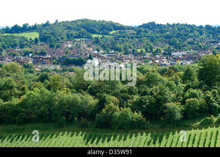 View across the town of Dorking in Surrey. England. From North Downs at vineyard. Stock Photo