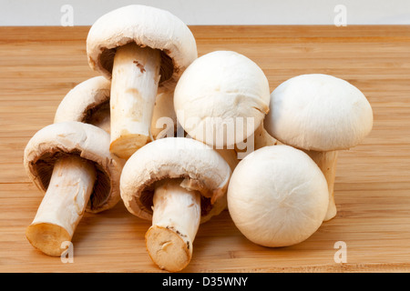 group of white champignons on a wooden board Stock Photo