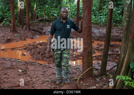 CAMEROON, 1st October 2012:  Ekodek Gatien, WWF Park Ranger, at a salt lick where a female forest elephant was recently killed for its ivory. Stock Photo