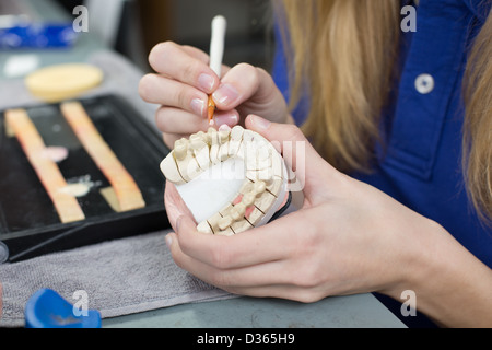 Closeup of a dental technician applying porcelain to a dentition mold in a lab Stock Photo