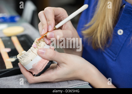 Closeup of a dental technician applying porcelain to a dentition mold in a lab Stock Photo