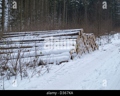 lumberyard - snowbound cut logs in the wood / Holzlager - verschneite, gefällte Baumstämme im Wald Stock Photo