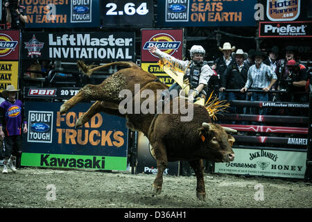 08.02.2013. Anaheim, Califonria, USA.  Troy Wilkinson (Townsville, AUS) riding Buckmaster during the Professional Bull Riders, Liftmaster Invitational at the Honda Center in Anaheim, CA. � Action Plus Sports Images / Alamy Stock Photo