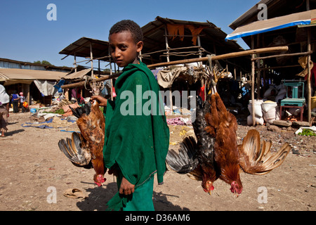 Boy selling chickens, The Saturday Market, Bahir Dar, Ethiopia Stock Photo