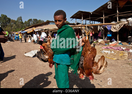 Boy selling chickens, The Saturday Market, Bahir Dar, Ethiopia Stock Photo