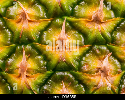 Close-up details of the skin of a fresh pineapple fruit (Ananas comosus). Stock Photo