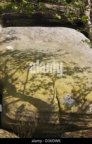 Shadow of tree on rock, Froggatt Edge, Peak District, Derbyshire, England Stock Photo