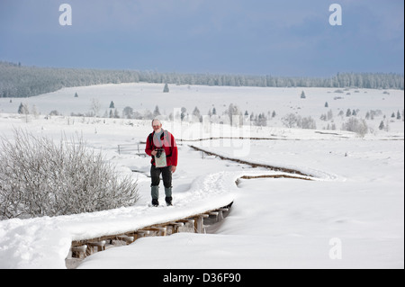 Walker walking over boardwalk in snow covered moorland in the High Fens / Hautes Fagnes in winter, Belgian Ardennes, Belgium Stock Photo