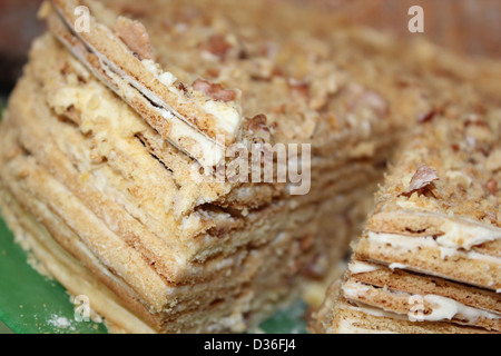 Close view of two pieces of honey cake on a plate: nine layers covered with delicious sour cream and walnuts. Stock Photo