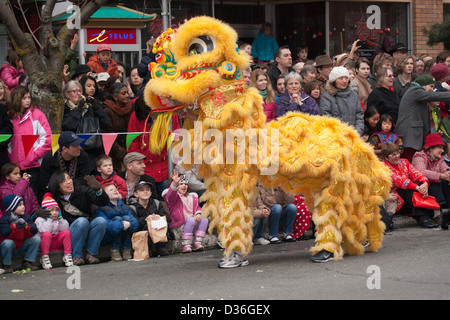 Lion Dance during Chinese New Year celebrations for Year of the Snake-Victoria, British Columbia, Canada. Stock Photo