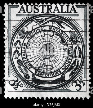 Antarctic Flora and Fauna Map, postage stamp, Australia, 1954 Stock Photo