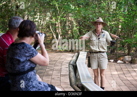 Birds of Prey Show at the Flight Deck, Territory Wildlife Park, Berry Springs, Northern Territory, Australia Stock Photo