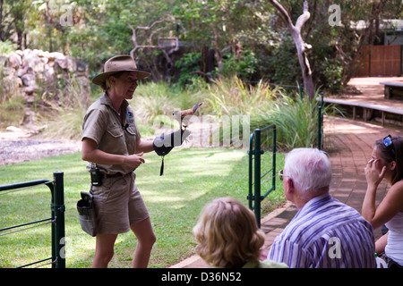 Birds of Prey Show at the Flight Deck, Territory Wildlife Park, Berry Springs, Northern Territory, Australia Stock Photo