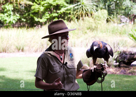 Birds of Prey Show at the Flight Deck, Territory Wildlife Park, Berry Springs, Northern Territory, Australia Stock Photo