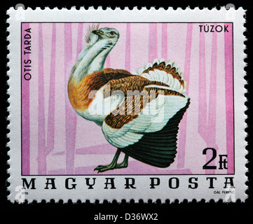 Great Bustard (Otis Tarda), postage stamp, Hungary, 1976 Stock Photo