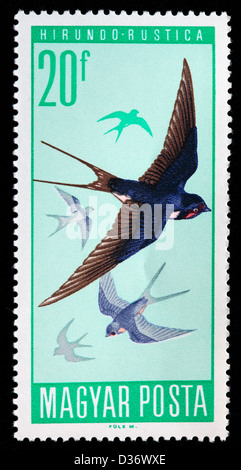 Barn Swallow (Hirundo rustica), postage stamp, Hungary, 1966