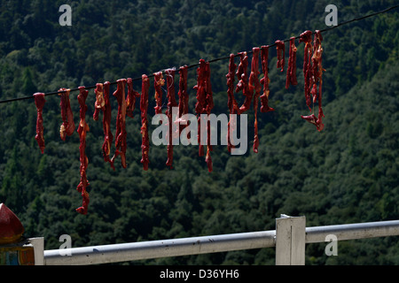 Cheri Goemba (monastery),or Chagri dorjidhen,high up in the Himalayan mountains not far from Thimpu. Meat drying,,36MPX Stock Photo