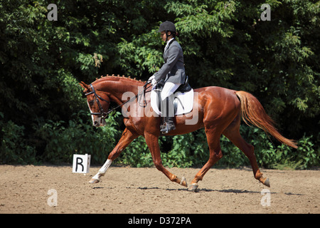 Elegant woman in a gray redingote riding on a brown horse Stock Photo