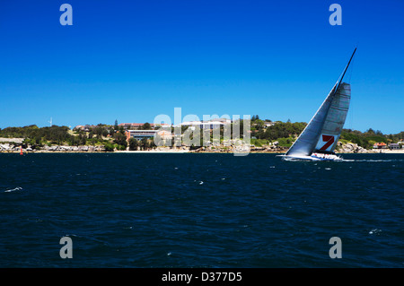 Hobart to Sydney racing yacht sailing in sunny blue sky conditions in Sydney harbour Stock Photo