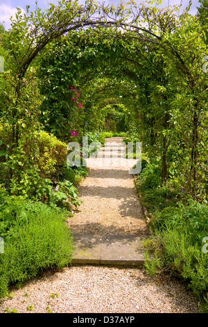 UK gardens. A rose arch walk with clematis and honeysuckle. Stock Photo