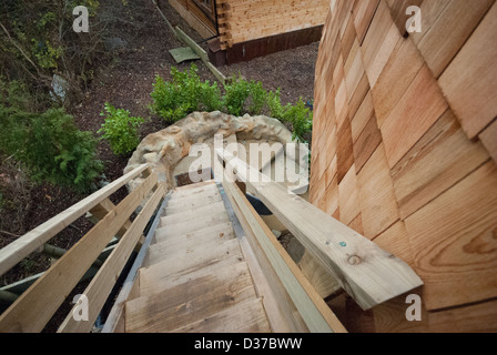 Tallest habitable tree house in the United Kingdom Stock Photo