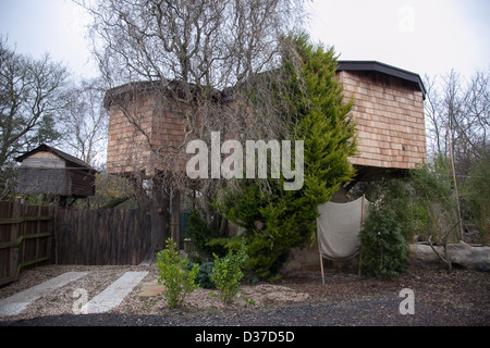 Tallest habitable tree house in the United Kingdom Stock Photo