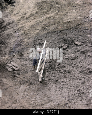 Worker carrying a ladder Stock Photo - Alamy