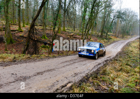 A rally car taking part in the Wyedean forest rally in Wales. Stock Photo