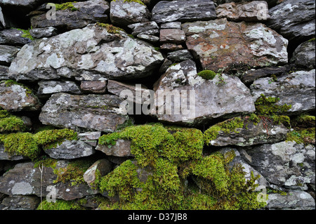 Partly moss-covered drystone wall near Killin, Scotland Stock Photo