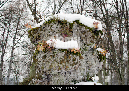 retro park concrete flower pot and dry flowers covered with winter snow closeup. Stock Photo