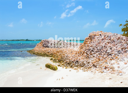 Mountains of shells on the island of the archipelago Los Roques, Venezuela Stock Photo