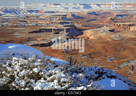 Buttes, mesas and canyons covered in snow, Green River Overlook. Island in the Sky District, Canyonlands National Park, Utah USA Stock Photo