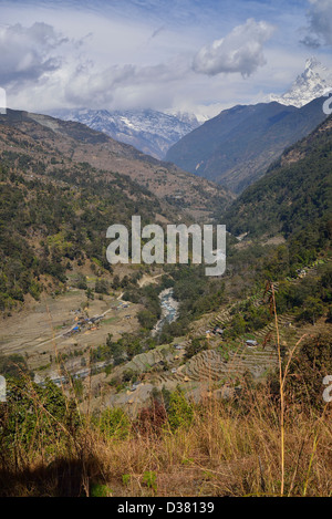 Lamkhet in Nepal, Annapurna region, Modi river valley. Stock Photo