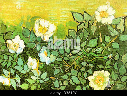 Vincent van Gogh, Wild Roses. 1890. Post-Impressionism. Oil on canvas. Van Gogh Museum, Amsterdam, Netherlands. Stock Photo