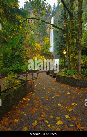 USA, Oregon, Multnomah Falls in autumn Stock Photo