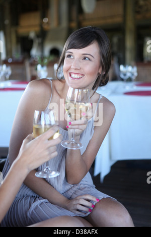 Women toasting each other with wine Stock Photo