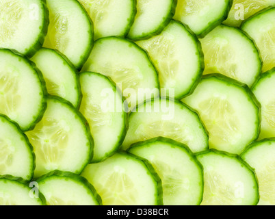 Cucumber. Stock Photo