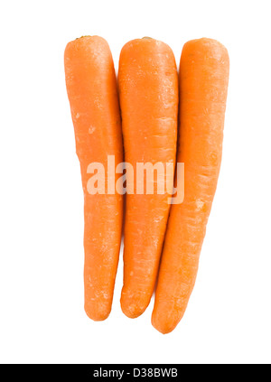 Carrots. Stock Photo