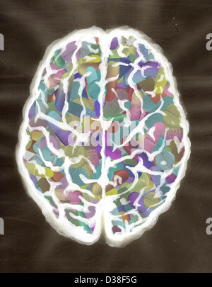Illustrative image of human brain filled with capsules Stock Photo
