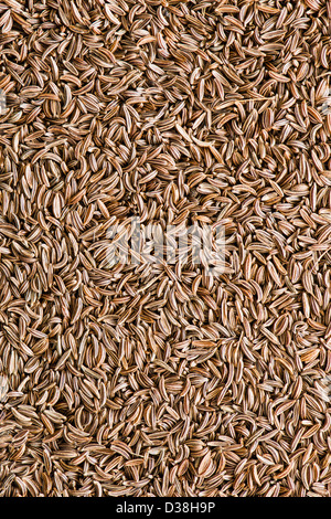 close-up on cumin - background of spices Stock Photo