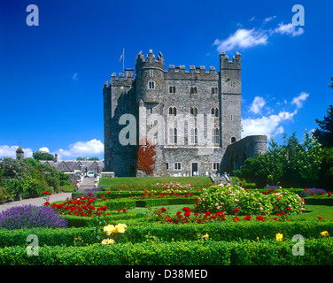 Kikea Castle, Castledermot, County Kildare, Ireland Stock Photo