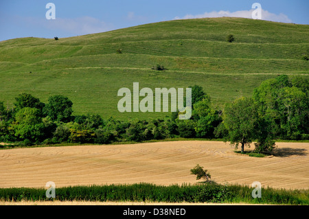 A view of Hambledon Hill Dorset, an Iron age hillfort Stock Photo