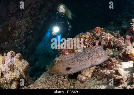 Scuba Diver inside Cave, Paradise Reef, Red Sea, Egypt Stock Photo