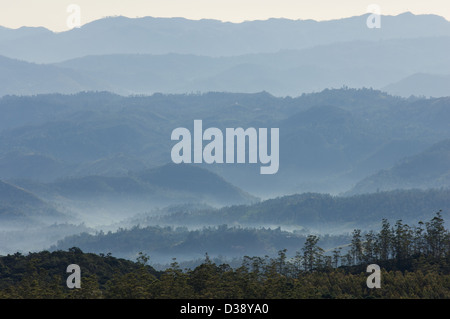 Mist hanging over forested hills near Horton Plains National Park, near Nuwara Eliya, Sri Lanka Stock Photo