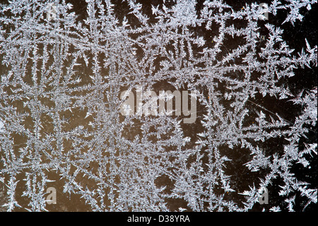 Ice crystals / frost flowers forming on frozen window pane during hoarfrost in cold winter Stock Photo