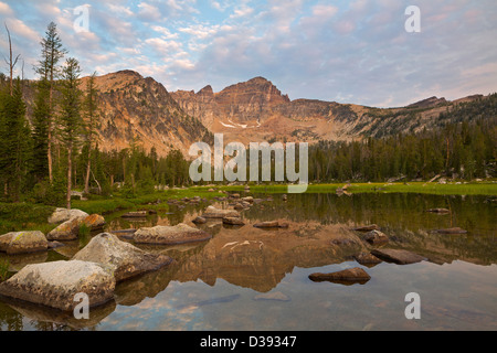 Warren Peak and Warren Lake in the Anaconda Pintler Wilderness of Montana. Summer. USA Stock Photo