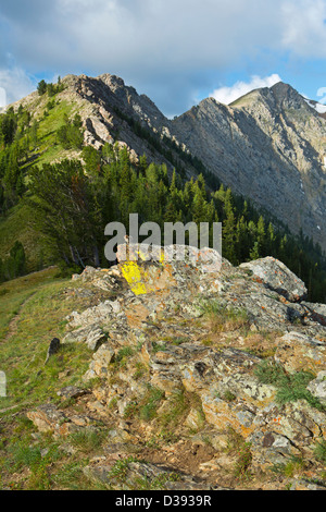 Along the Continental Divide Trail in the Anaconda Pintler Wilderness at Rainbow Pass. Montana. USA. Summer. Stock Photo