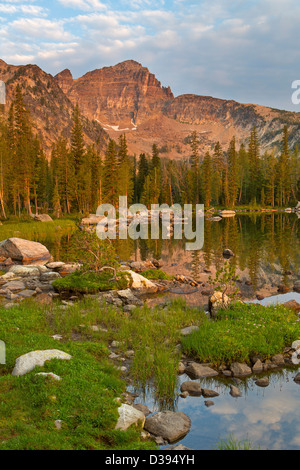 Warren Peak and Warren Lake in the Anaconda Pintler Wilderness of Montana. Summer. USA Stock Photo